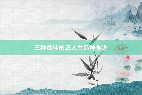 三种最佳的正人兰品种推选