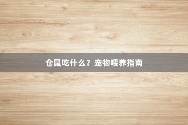 仓鼠吃什么？宠物喂养指南