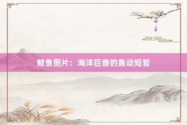 鲸鱼图片:海洋巨兽的轰动短暂